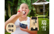 【令和8年産 新米予約 全6回定期便】南魚沼産コシヒカリ「瑞雪」白米5kg×6回 新潟県の特A地区南魚沼市の美味しいお米【定期便 銘柄米 ブランド米 精米 こしひかり コシヒカリ 魚沼産 新潟米 産地直送 お米 米 こめ コメ ご飯 御飯 ごはん】【令和8年10月上旬より順次発送予定】