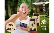 【令和8年産 新米予約 全12回定期便】南魚沼産コシヒカリ「瑞雪」白米10kg×12回 新潟県の特A地区南魚沼市の美味しいお米【定期便 銘柄米 ブランド米 精米 こしひかり コシヒカリ 魚沼産 新潟米 産地直送 お米 米 こめ コメ ご飯 御飯 ごはん】【令和8年10月上旬より順次発送予定】