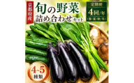 【訳あり・定期便】旬の野菜詰め合わせ（全4回 春・夏・秋・冬）野菜 旬野菜 旬 季節の野菜 京都 京田辺市