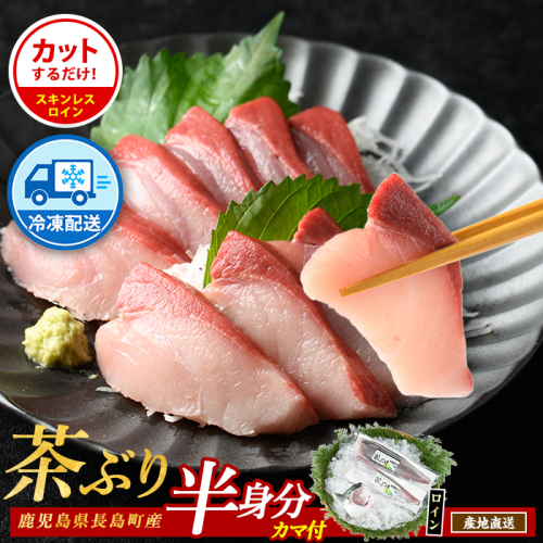 【冷凍】ブリカマ付！茶ぶり スキンレスロイン(片身分・2分の1カット済) 鮮魚 下処理済み ぶり 柵 刺身 ブリ 切り身 鰤 ぶりかま 【ウスイ】usui-7319R8B 2813395 - 鹿児島県長島町
