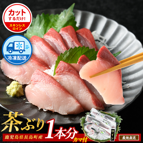 【冷凍】ブリカマ付！茶ぶり スキンレスロイン(1尾分・4分の1カット済)【ウスイ】usui-7324R8B 2813397 - 鹿児島県長島町