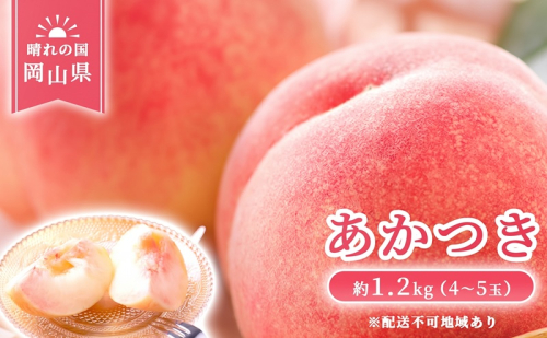 【 2027年 先行予約】 桃 岡山県産 あかつき 約1.2kg(4～5玉) 《2027年7月上旬-中旬頃出荷》 白桃 岡山 はくとう スイーツ フルーツ 果物 先行予約 数量限定 期間限定 岡山 里庄町 モモ もも 桃 2813452 - 岡山県里庄町