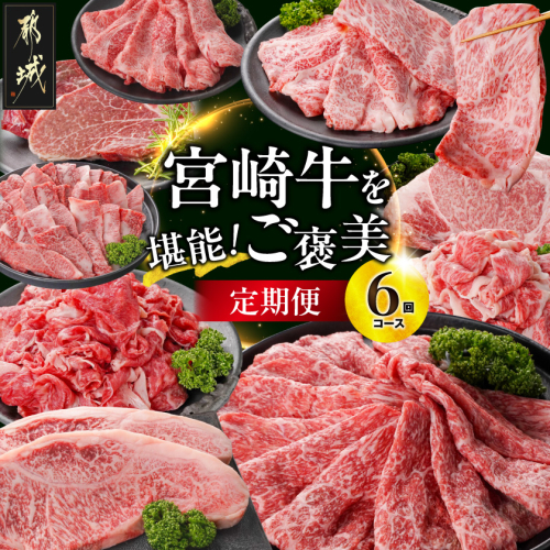 【6回定期便】宮崎牛を堪能「ご褒美」定期便〔TAI6-6-N4-014〕 2813458 - 宮崎県都城市