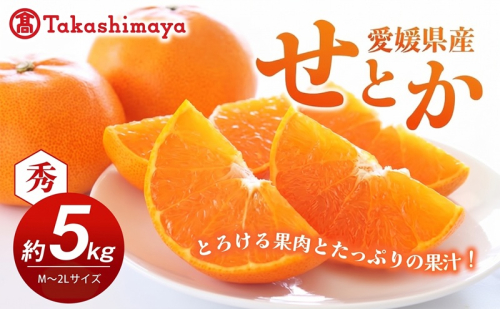 【数量限定 今季最終受付】愛媛県産せとか（露地）約5kg [50R0835]【高島屋選定品】秀M～２Lサイズ 2月中旬頃～順次発送＜旬 ギフト 高級 甘い みかん フルーツ＞[No.53030333] 2813477 - 愛媛県東温市