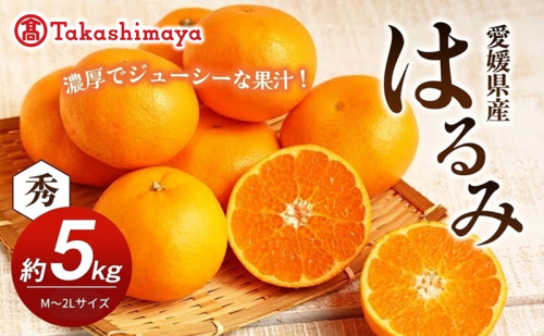 【数量限定 先行予約】愛媛県産 はるみ 約5kg[50R0824] 【高島屋選定品】秀M～２Lサイズ 1月下旬頃～順次発送＜ギフト 高級 甘い みかん フルーツ＞[No.53030335] 2813479 - 愛媛県東温市