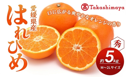 【数量限定 先行予約】愛媛県産 はれひめ 約5kg[50R0813] 【高島屋選定品】M～2L サイズ＜ギフト 甘味 濃厚 みかん フルーツ＞[No.53030336] 2813480 - 愛媛県東温市