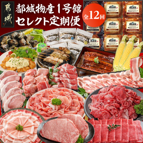 【☆セレクト定期便☆】都城物産1号館☆定期便(12ヶ月)≪2027年お届け≫〔T159-12-S001〕 2813515 - 宮崎県都城市