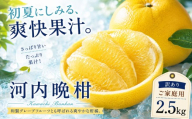 ＜涼果の旨み 愛媛県産河内晩柑 合計約2.5kg＞『2027年3月中旬～7月上旬迄に順次出荷予定』 訳あり 上品な味わい 爽やか ミカン 蜜柑 ご家庭用 果汁 果物 くだもの フルーツ オレンジ 柑橘 特産品 極尽道 愛媛県 西予市 【常温】