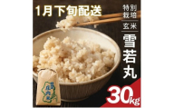 1月下旬配送／令和8年産【玄米】特別栽培米 雪若丸　30kg×1袋〈太ももの会〉 FU SE0634