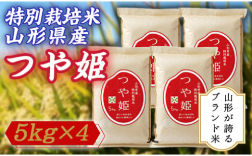 特別栽培米山形県産 つや姫  米 お米 ブランド米 銘柄米 備蓄 日本米 コメ ごはん ご飯 食品 山形県 F2Y-2496