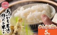 令和8年産 特別栽培米 あいがも農法でつくったひとめぼれ 5kg [カメイ 宮城県 加美町] お米 こめ コメ 精米 白米 ひとめぼれ | km-ag-hb05-r8