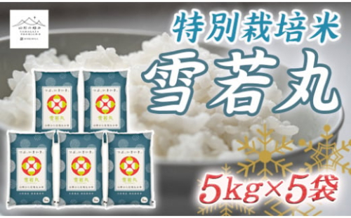 山形の極み 特別栽培米 山形県産 雪若丸 F2Y-2529