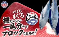 〈冷蔵〉まぐろ 三陸塩竈ひがしもの 一尾分 ブロック 生メバチマグロ 天然 まぐろ マグロ 鮪 生マグロ 刺身 刺身用 寿司 海鮮丼 塩竈市魚市場 宮城県 塩竈市