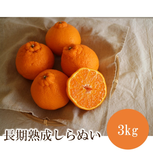長期熟成しらぬい3kg＜先行予約2027年5月発送開始分＞ 2814353 - 和歌山県御坊市