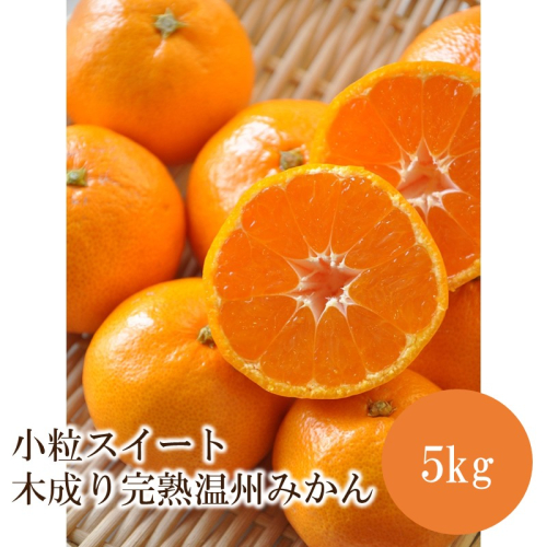 小粒スイート 木成り完熟温州みかん5kg≪先行予約≫2026年12月より順次発送予定 2814357 - 和歌山県御坊市