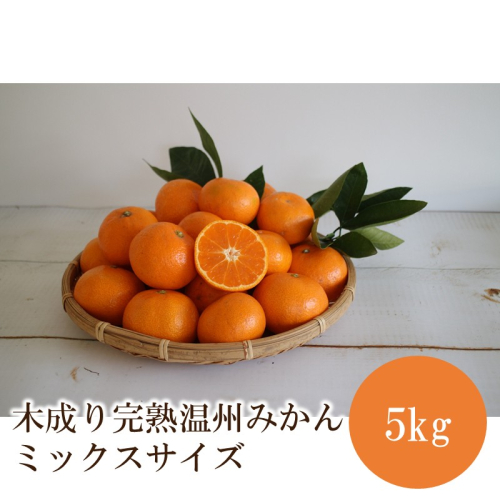 木成り完熟温州みかんミックスサイズ5kg≪先行予約≫2026年12月より順次発送予定 2814358 - 和歌山県御坊市