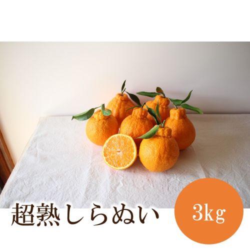 超熟しらぬい 3kg＜先行予約2027年3月発送開始分＞ 2814361 - 和歌山県御坊市