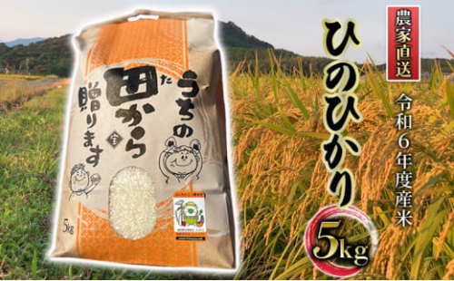 米 5kg 令和6年度産米 ひのひかり 筑後小郡産 農家直送 お米 コメ