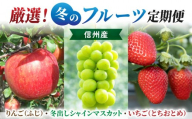 【3回定期便】厳選！冬のフルーツ定期便（りんご「ふじ」・冬出しシャインマスカット・いちご「とちおとめ」）｜【JA信州うえだ／BERRY PLANTS FACTORY】ぶどう 葡萄 大粒 りんご ふじ いちご とちおとめ 果物 フルーツ 生食 甘い 人気 頒布会 長野 信州 東御