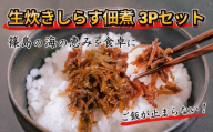 生炊きしらす 3パック(計240g) 冷凍 しらす つくだ煮 佃煮 ごはんのお供 しらす ごはん 米 おつまみ しらす しらすごはん シラス しらす しらすごはん shirasu sirasu SIRASU 人気シラス お茶漬け おにぎり 海鮮 小魚 丼 お弁当 朝食 しらすおにぎり 南知多町産しらす 魚 新鮮しらす 海産物 さかな しらす 海の幸 ギフト プレゼント しらす