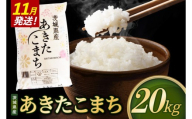 【2026年11月発送】米 あきたこまち 精米 20kg 令和8年産 茨城県産 お米 こめ コメ ごはん 白米 アキタコマチ 茨城県産米 単一米 単一原料米 安心 安全 送料無料 国産 人気 数量限定 （85-R8i169_11）