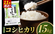 【2026年11月発送】米 コシヒカリ 精米 15kg 令和8年産 茨城県産 お米 こめ コメ ごはん 白米 こしひかり 茨城県産米 単一米 単一原料米 安心 安全 送料無料 国産 人気 数量限定 （85-R8i073_11）