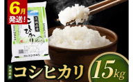 【2027年6月発送】米 コシヒカリ 精米 15kg 令和8年産 茨城県産 お米 こめ コメ ごはん 白米 こしひかり 茨城県産米 単一米 単一原料米 安心 安全 送料無料 国産 人気 数量限定 （85-R8i073_06）