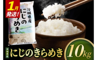 【2027年1月発送】米 にじのきらめき 精米 10kg 令和8年産 茨城県産 お米 こめ コメ ごはん 白米 ニジノキラメキ 茨城県産米 単一米 単一原料米 安心 安全 送料無料 国産 人気 数量限定（85-R8i205_01）