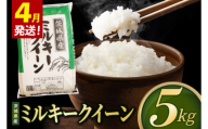 米 ミルキークイーン 精米 5kg 令和8年産 茨城県産 お米 こめ コメ ごはん 白米 みるきーくいーん 茨城県産米 単一米 単一原料米 送料無料 国産 数量限定（85-R8i253_04）