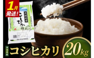 【2027年1月発送】米 コシヒカリ 精米 20kg 令和8年産 茨城県産 お米 こめ コメ ごはん 白米 こしひかり 茨城県産米 単一米 単一原料米 安心 安全 送料無料 国産 人気 数量限定 （85-R8i097_01）