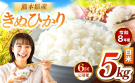 【定期便6回】R8年産 白米 きぬひかり 5kg | お米 米 こめ おこめ 精米 キヌヒカリ 5キロ 国産 国産米 くまもと 熊本 熊本県 玉名市 玉名