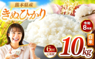 【定期便6回】R8年産 白米 きぬひかり 10kg | お米 米 こめ おこめ 精米 キヌヒカリ 10キロ 国産 国産米 くまもと 熊本 熊本県 玉名市 玉名