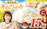 【定期便6回】R8年産 白米 きぬひかり 15kg | お米 米 こめ おこめ 精米 キヌヒカリ 15キロ 国産 国産米 くまもと 熊本 熊本県 玉名市 玉名