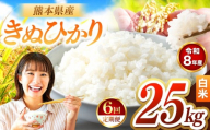 【定期便6回】R8年産 白米 きぬひかり 25kg | お米 米 こめ おこめ 精米 キヌヒカリ 25キロ 国産 国産米 くまもと 熊本 熊本県 玉名市 玉名