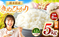 【定期便12回】R8年産 白米 きぬひかり 5kg | お米 米 こめ おこめ 精米 キヌヒカリ 5キロ 国産 国産米 くまもと 熊本 熊本県 玉名市 玉名