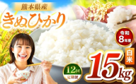 【定期便12回】R8年産 白米 きぬひかり 15kg | お米 米 こめ おこめ 精米 キヌヒカリ 15キロ 国産 国産米 くまもと 熊本 熊本県 玉名市 玉名