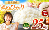 【定期便12回】R8年産 白米 きぬひかり 25kg | お米 米 こめ おこめ 精米 キヌヒカリ 25キロ 国産 国産米 くまもと 熊本 熊本県 玉名市 玉名