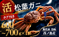 【先行販売】【ふるさと納税】松葉ガニ〈活〉松葉ガニ マツバガニ タグ付き＜11月中旬～2月中旬頃発送予定＞600g~700g  1杯