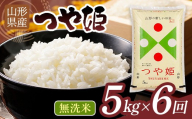 【6回定期便・11月後半発送】 令和7年度 山形県産 つや姫 5㎏×6回 合計30㎏ 無洗米 精米 白米 ご飯 ごはん 国産 ブランド米 つやひめ 節水 節水 時短 冷めてもおいしい お取り寄せ 食品 山形県 西川町 月山 FYN2-524