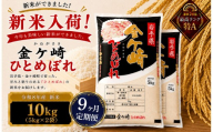 米 10kg 【9ヶ月 定期便 】 岩手 ひとめぼれ 令和8年産 白米 岩手ふるさと米 5kg 小分け 袋 ｜ お米 コメ 5キロ 災害 備蓄 防災セット 非常食 白飯 ごはん 炊飯 レトルト カレー いわて ブランド米 東北 岩手県 金ケ崎町