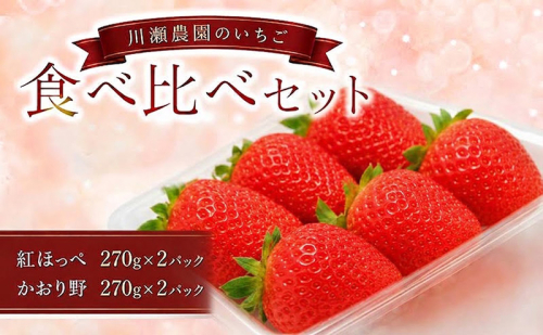 川瀬農園のいちご食べ比べセット　４パック 2815951 - 滋賀県米原市