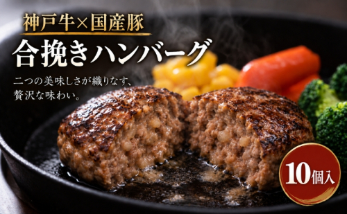 神戸牛 牛肉 豚肉 合い挽き 生ハンバーグ 10個入 小分け 帝神志方 国産 和牛 豚 冷凍 グルメ 肉汁 ハンバーグ 神戸ビーフ 但馬牛 最短4日以内発送 2815960 - 兵庫県加西市