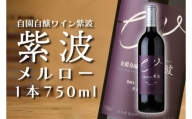 AL016 紫波メルロー【自園自醸ワイン紫波】