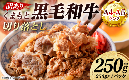 【訳あり】 【A4～A5ランク】 くまもと黒毛和牛 切り落とし 250g （250g×1パック） 和牛 牛肉 お肉 黒毛和牛 牛肩 バラ 冷凍 炒め物 すき焼き しゃぶしゃぶ おかず 熊本県 八代市 2817458 - 熊本県八代市