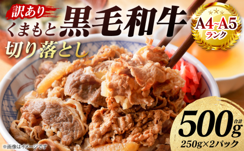 【訳あり】 【A4～A5ランク】 くまもと黒毛和牛 切り落とし 500g （250g×2パック） 和牛 牛肉 お肉 黒毛和牛 牛肩 バラ 冷凍 炒め物 すき焼き しゃぶしゃぶ おかず 熊本県 八代市 2817459 - 熊本県八代市