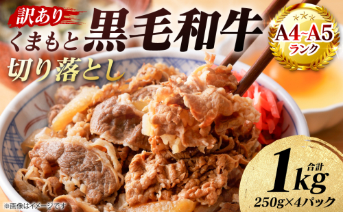【訳あり】 【A4～A5ランク】 くまもと黒毛和牛 切り落とし 1kg （250g×4パック） 和牛 牛肉 お肉 黒毛和牛 牛肩 バラ 冷凍 炒め物 すき焼き しゃぶしゃぶ おかず 熊本県 八代市 2817461 - 熊本県八代市