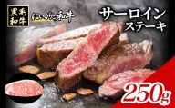 71-Mにいがた和牛 サーロインステーキ 250g×1枚