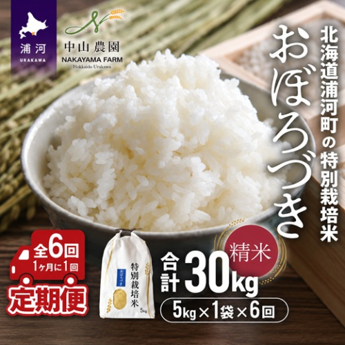 北海道浦河町の特別栽培米「おぼろづき」精米(5kg×1袋)定期便(全6回)[37-1492] 2818111 - 北海道浦河町