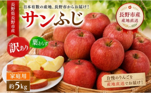 【2026年先行予約】長野市産 サンふじ 訳あり りんご 5kg｜信州りんごの名産地からお届け｜家庭用・不揃い・傷ありでも甘さ抜群｜信州りんごの本場からお届け｜家庭用・規格外｜【2026年12月発送予定】 2818363 - 長野県長野市