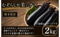 くまもと むぞらしか美ぃナス （ ビーナス ） 2kg （ 熊本県産 ） ナスビ 野菜 和食 洋食 中華 おかず おつまみ 旬の野菜 季節の野菜 旬 季節 焼きナス 国産 【 2026年11月上旬～2027年5月下旬迄発送 】